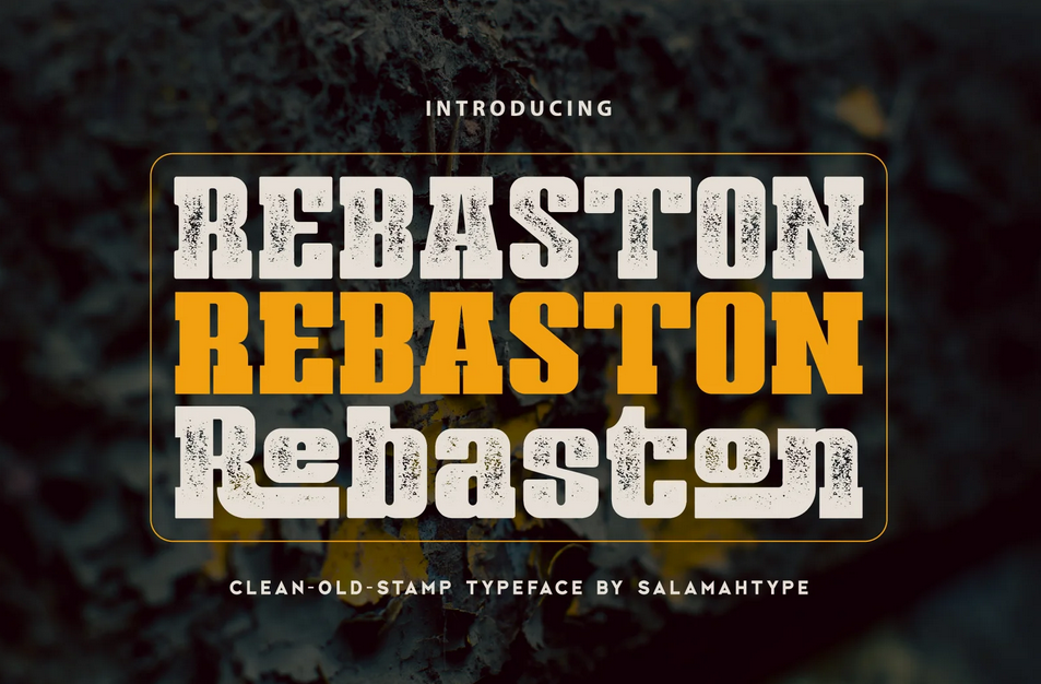 13. Rebaston – Display Serif