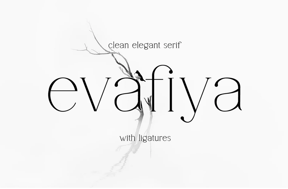 16. Evafiya Elegant Serif Font