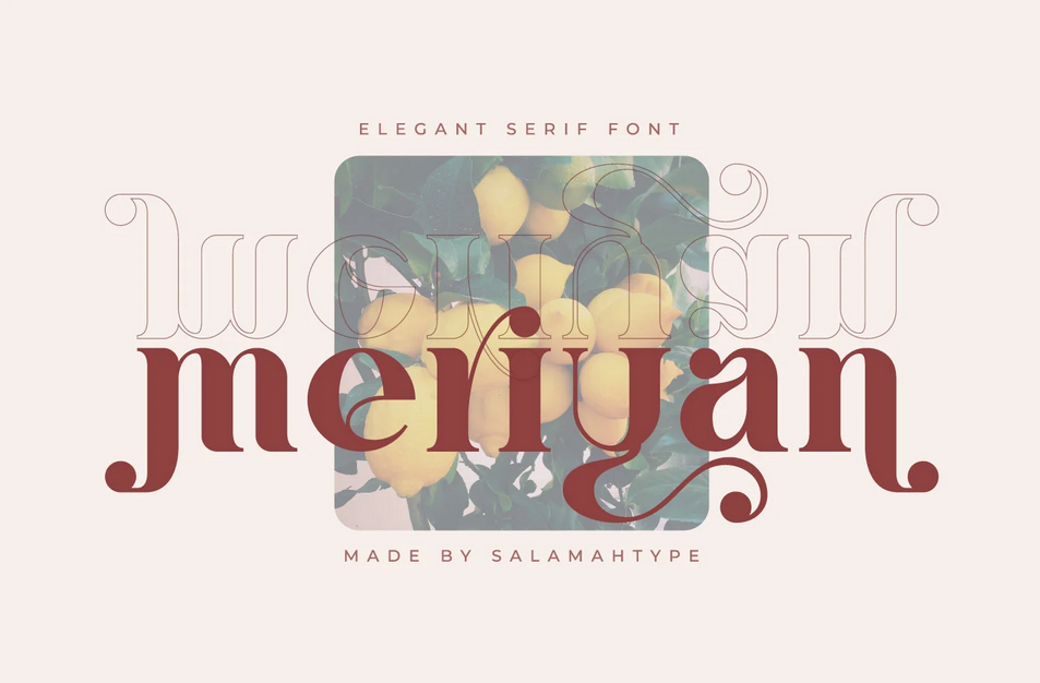 17. Meriyan Stylish Serif
