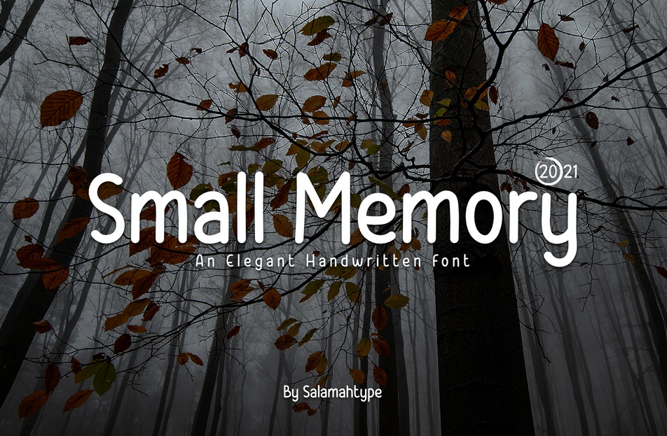 20. Small Memory Handwritten