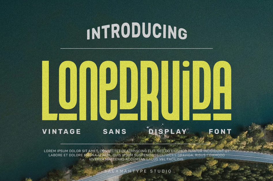 7. Lonedruida – Stylish Slim Font