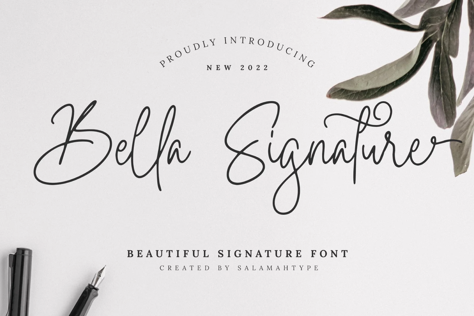 Bella Signature by Salamah Type
