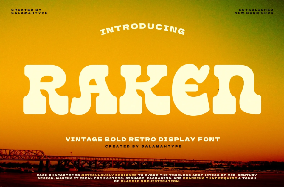 5. Raken Display Font